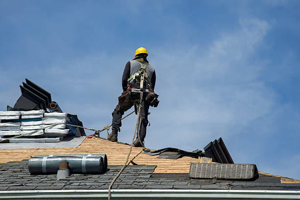 Professional Roof Replacement technician working in Walcott, IA